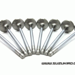 Stainless Steel Exhaust Valve for SOLID lifters ONLY Set of 8